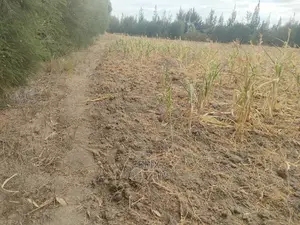 3 Acres Narumoru/Gatuanyaga