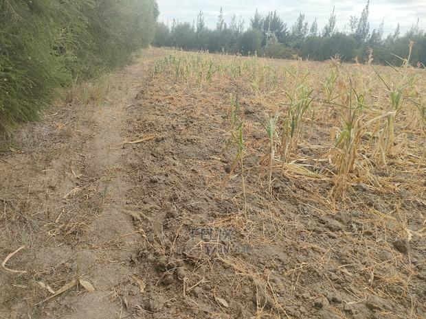 3 Acres Narumoru/Gatuanyaga - thumbnail 4