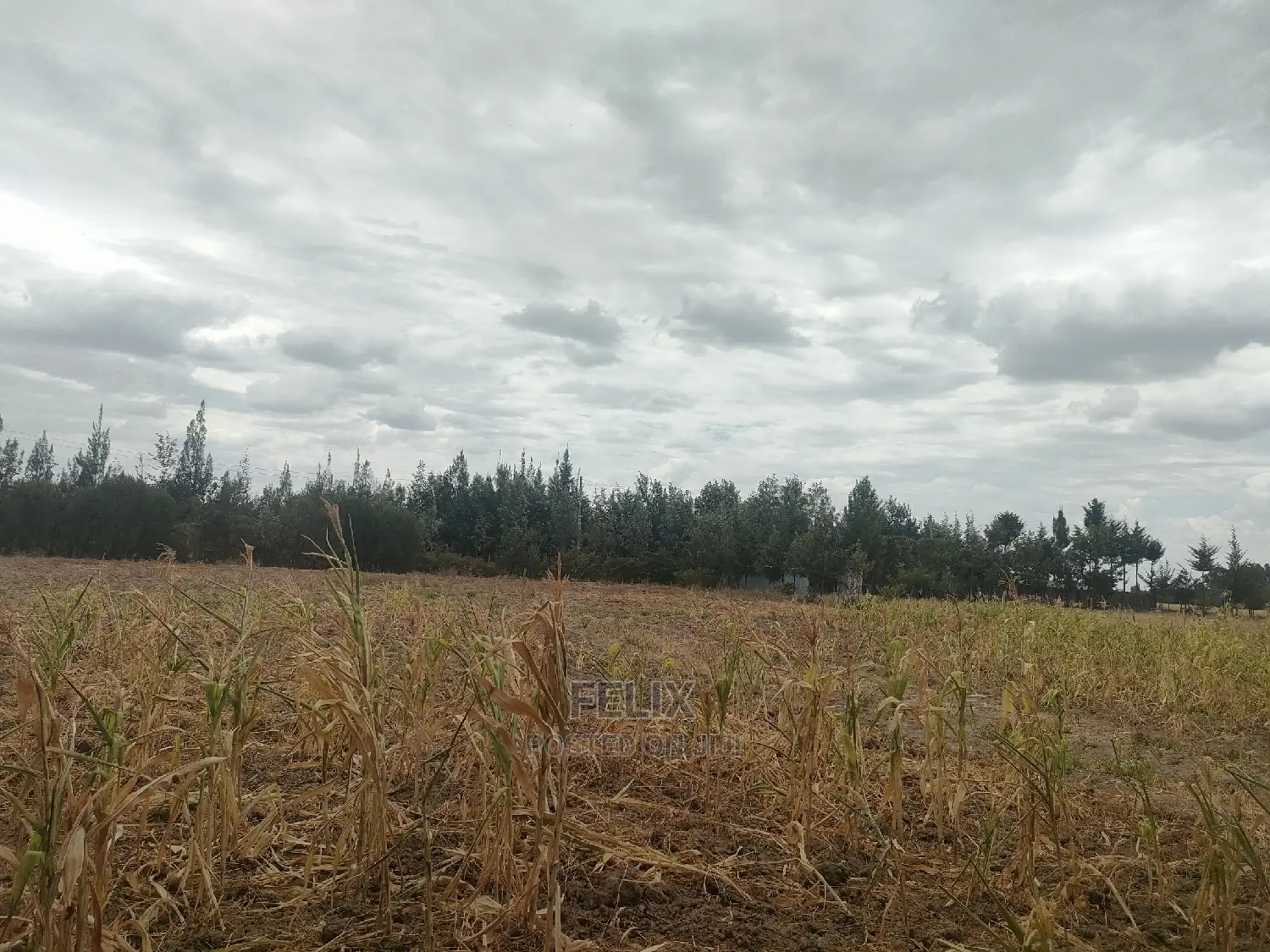 3 Acres Narumoru/Gatuanyaga