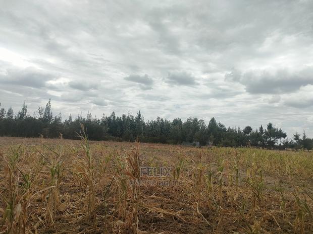 3 Acres Narumoru/Gatuanyaga - thumbnail 6