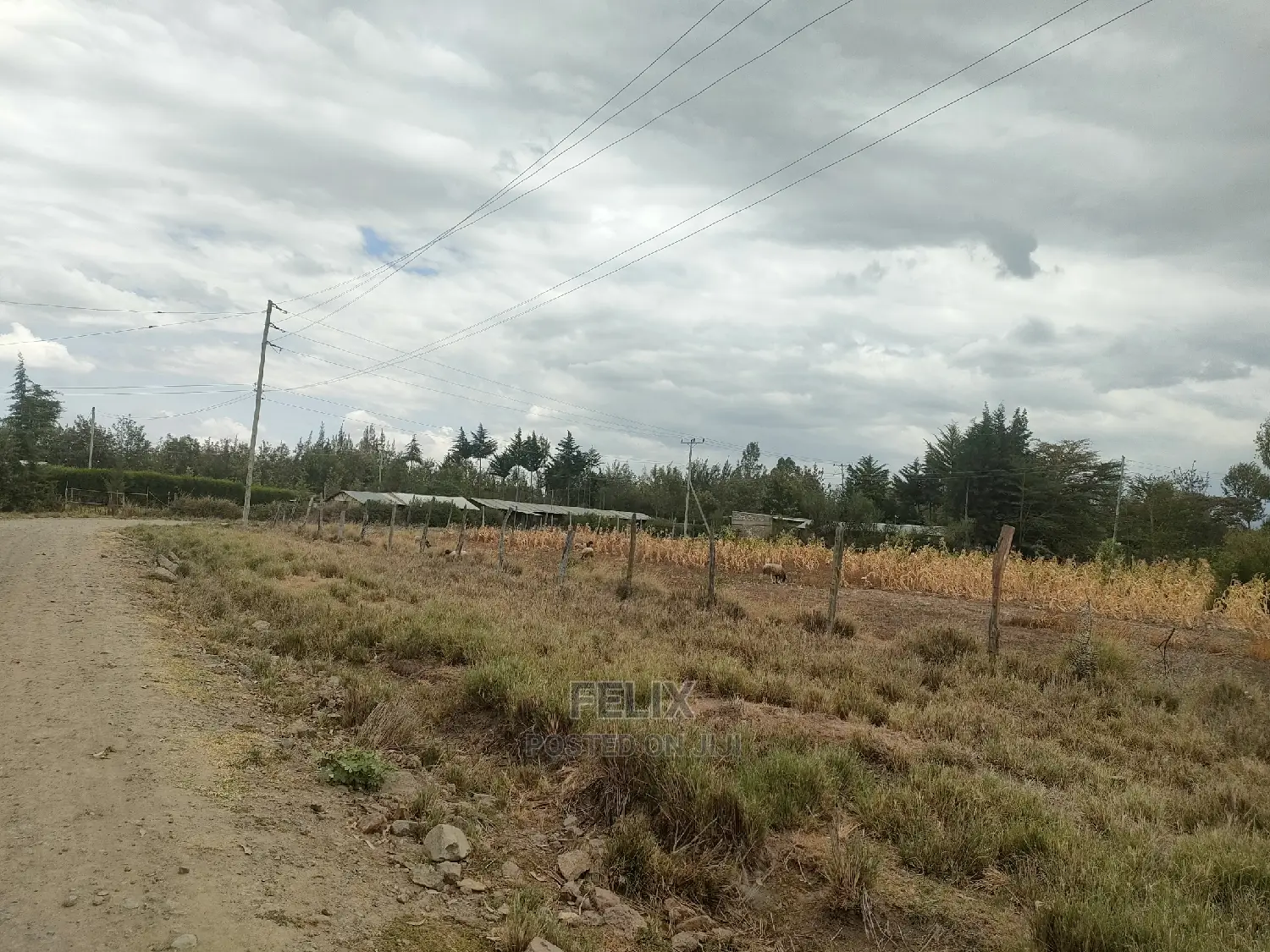 3 Acres Narumoru/Gatuanyaga
