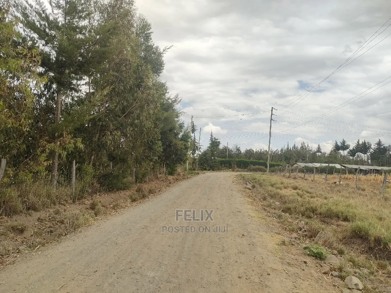 3 Acres Narumoru/Gatuanyaga