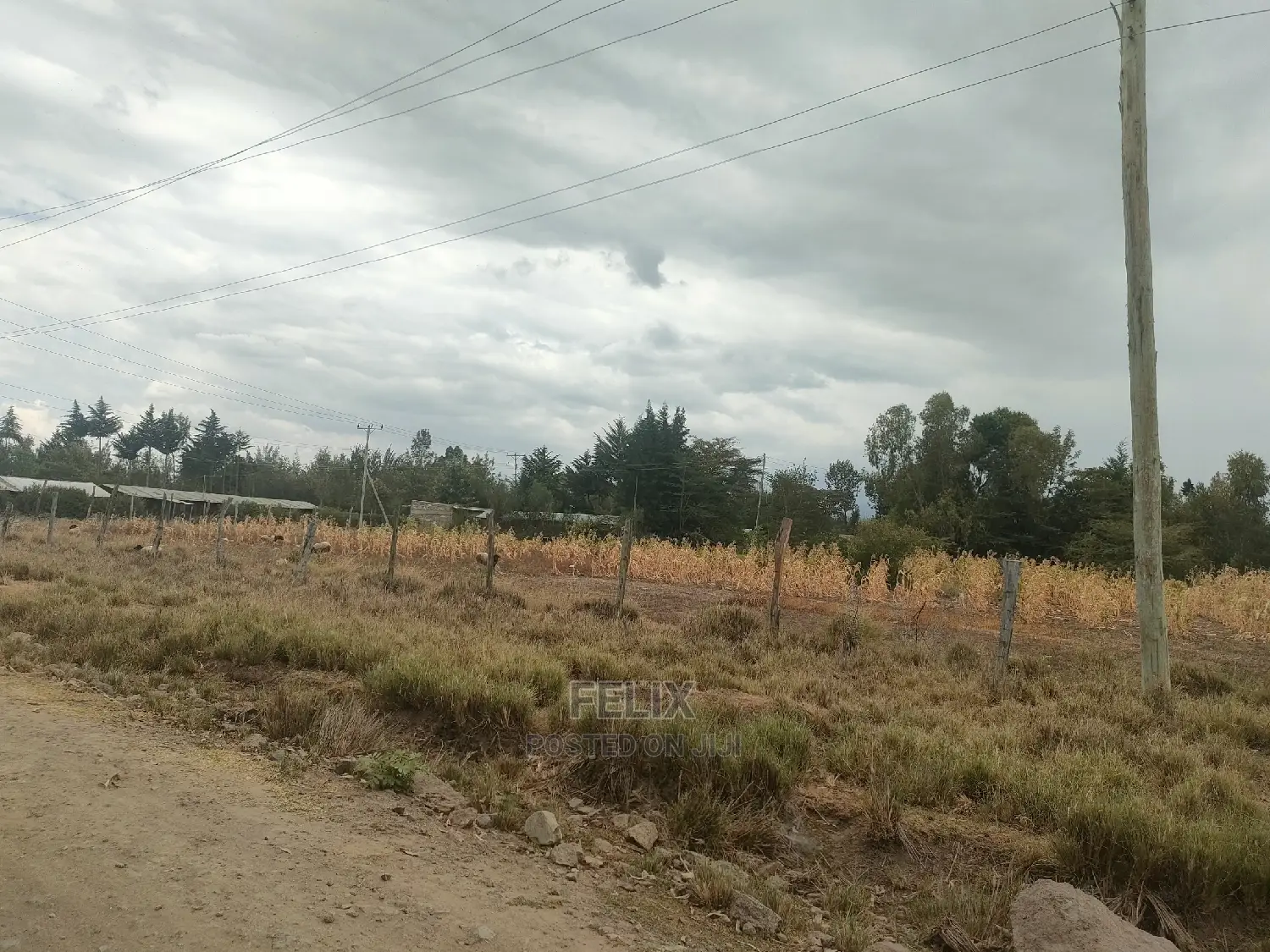 3 Acres Narumoru/Gatuanyaga