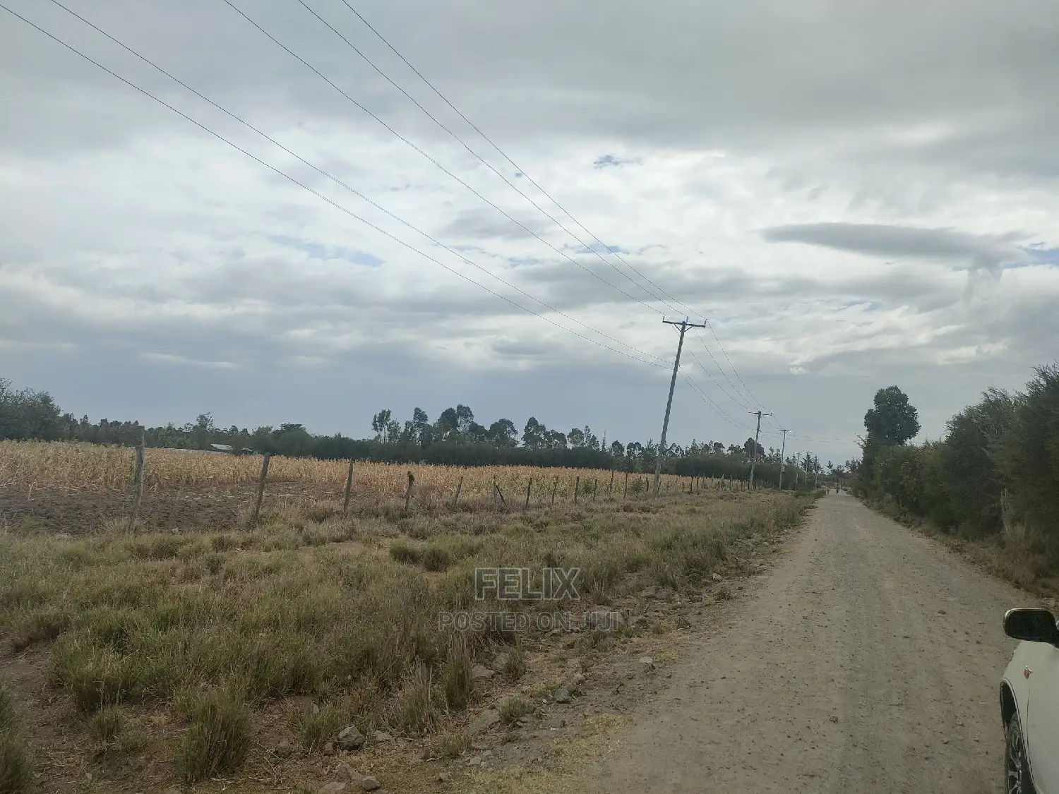 3 Acres Narumoru/Gatuanyaga