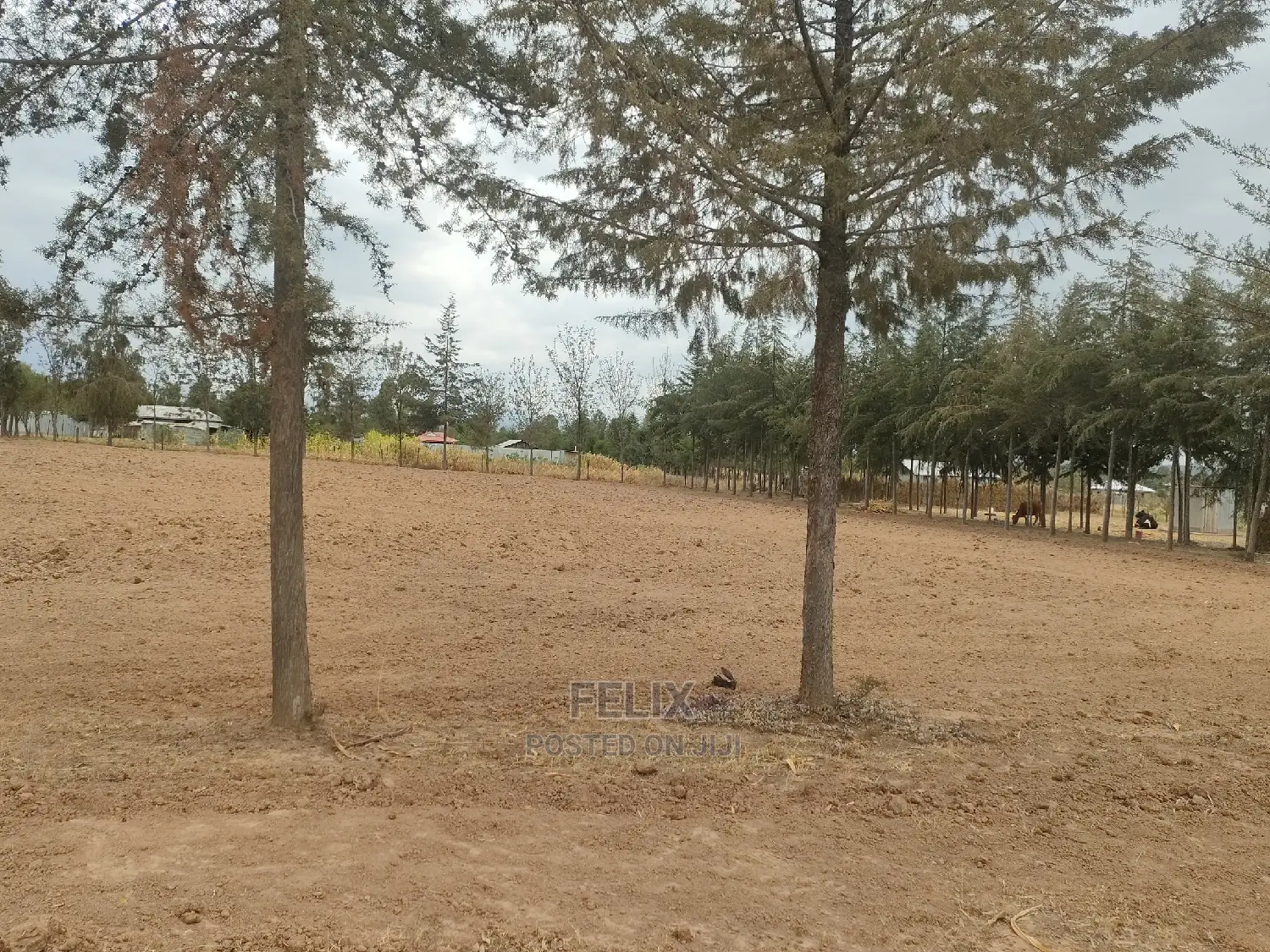 2 Acres Nanyuki/Ngarishia