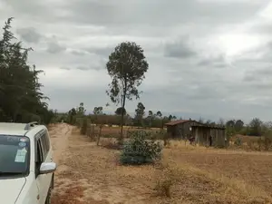 2 Acres Nanyuki/Ngarishia