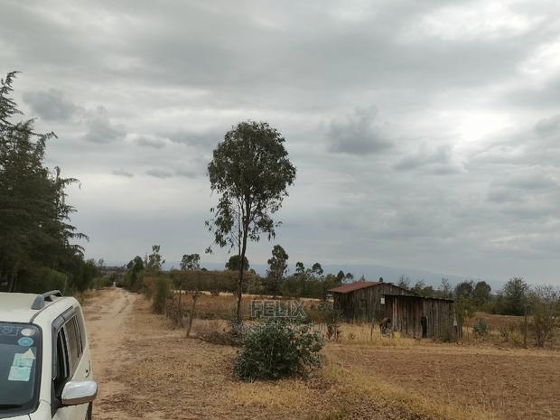 2 Acres Nanyuki/Ngarishia - thumbnail 4