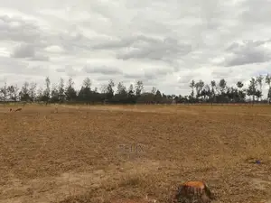 2 Acres Nanyuki/Ngarishia