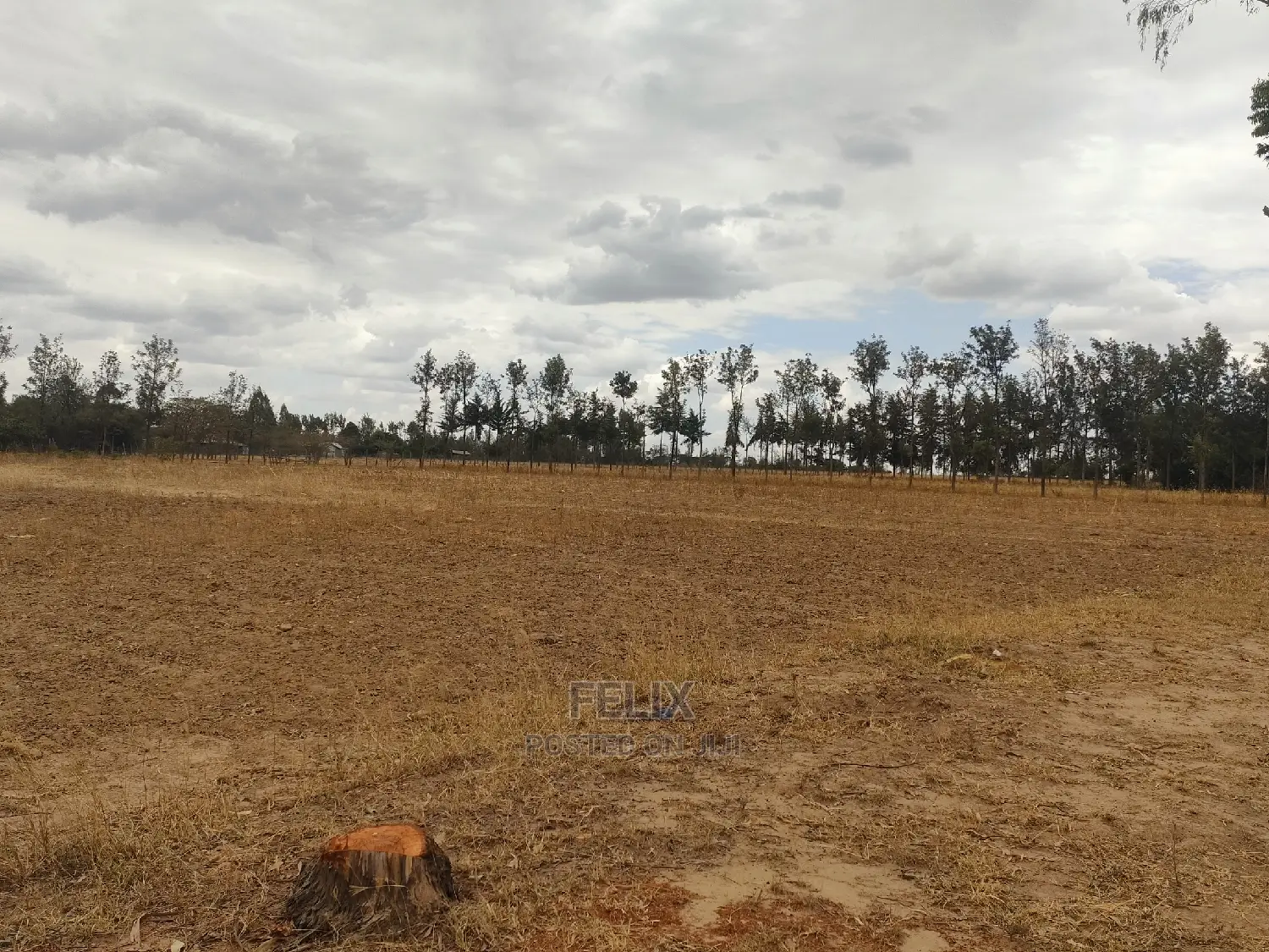 2 Acres Nanyuki/Ngarishia