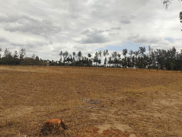 2 Acres Nanyuki/Ngarishia - thumbnail 7