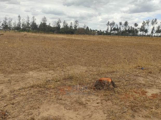 2 Acres Nanyuki/Ngarishia - thumbnail 8