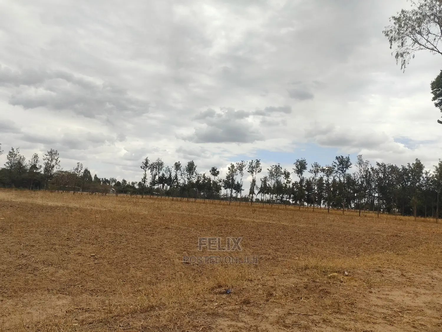 2 Acres Nanyuki/Ngarishia