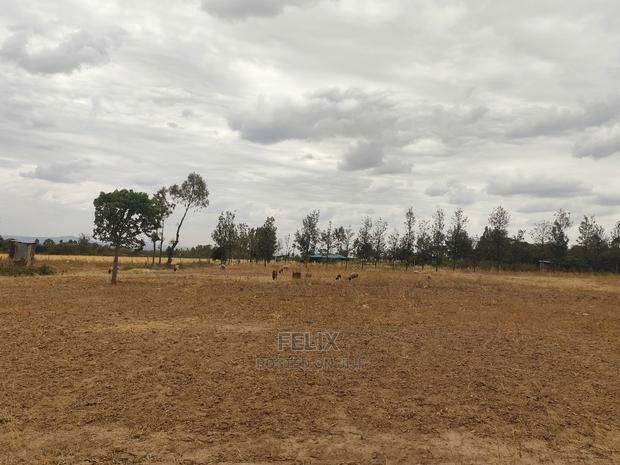 2 Acres Nanyuki/Ngarishia - thumbnail 10