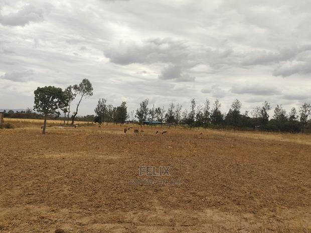 2 Acres Nanyuki/Ngarishia - thumbnail 11