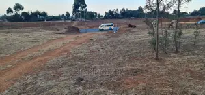 1⁄8 Touching Bypass Tarmac Lemook Kapseret Eldore