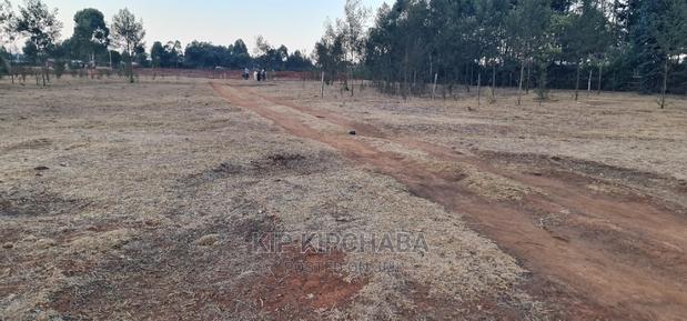 1⁄8 Touching Bypass Tarmac Lemook Kapseret Eldore - thumbnail 10