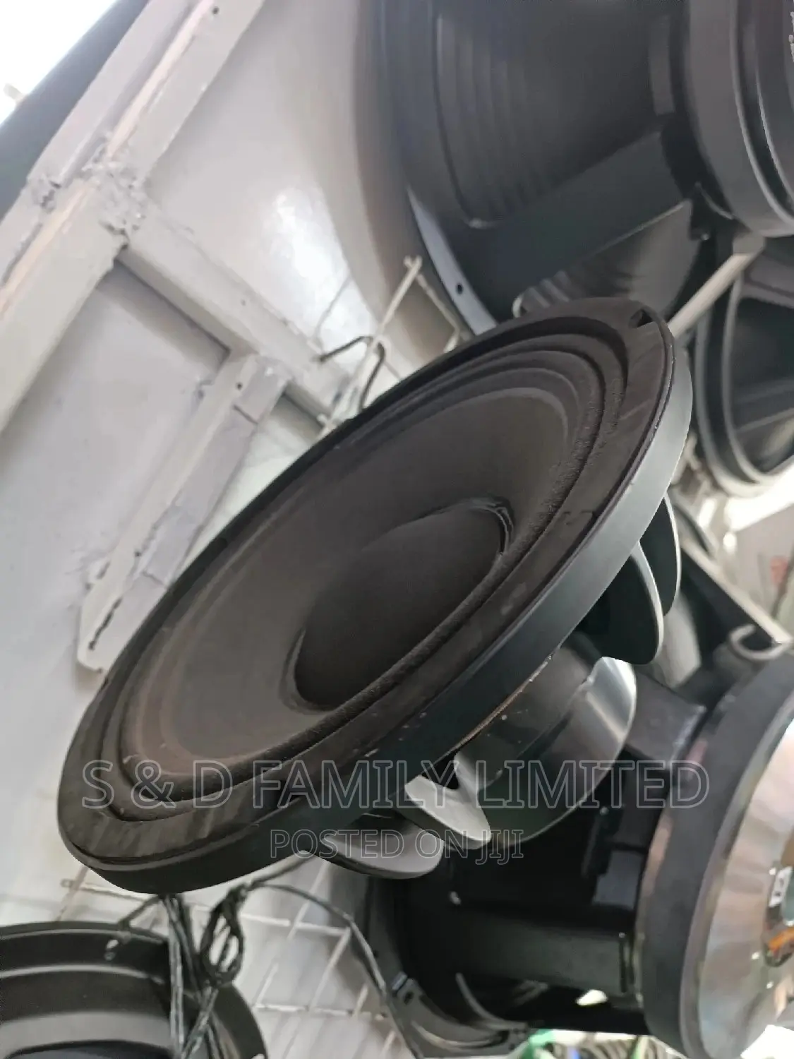 Neodymium 10 Inch Speaker