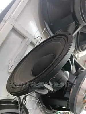Neodymium 10 Inch Speaker