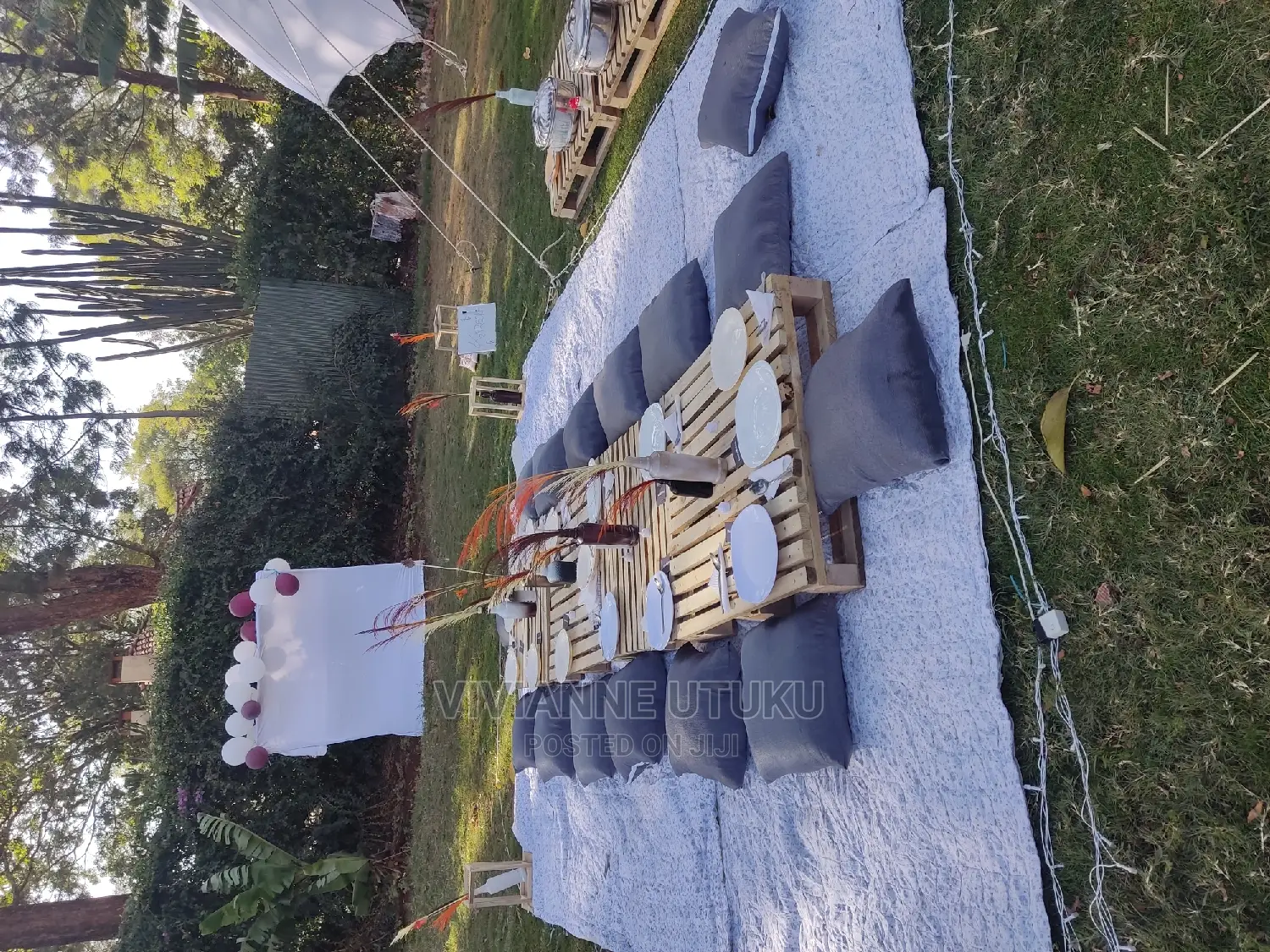 Eventplanning/Servicespicnics,Birthdays,Babyshowers,Hangouts
