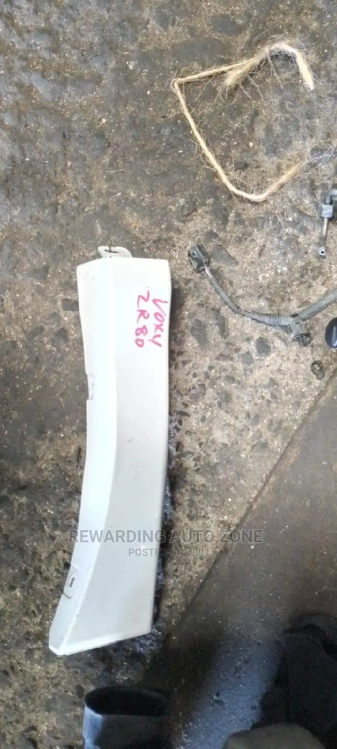 Toyota Voxy Back Wheel Madflap.2010 Model