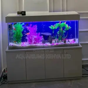 Kids Bedroom Aquarium, Pet Aquarium