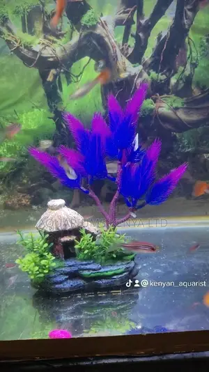 Plant House , Aquarium Accessories