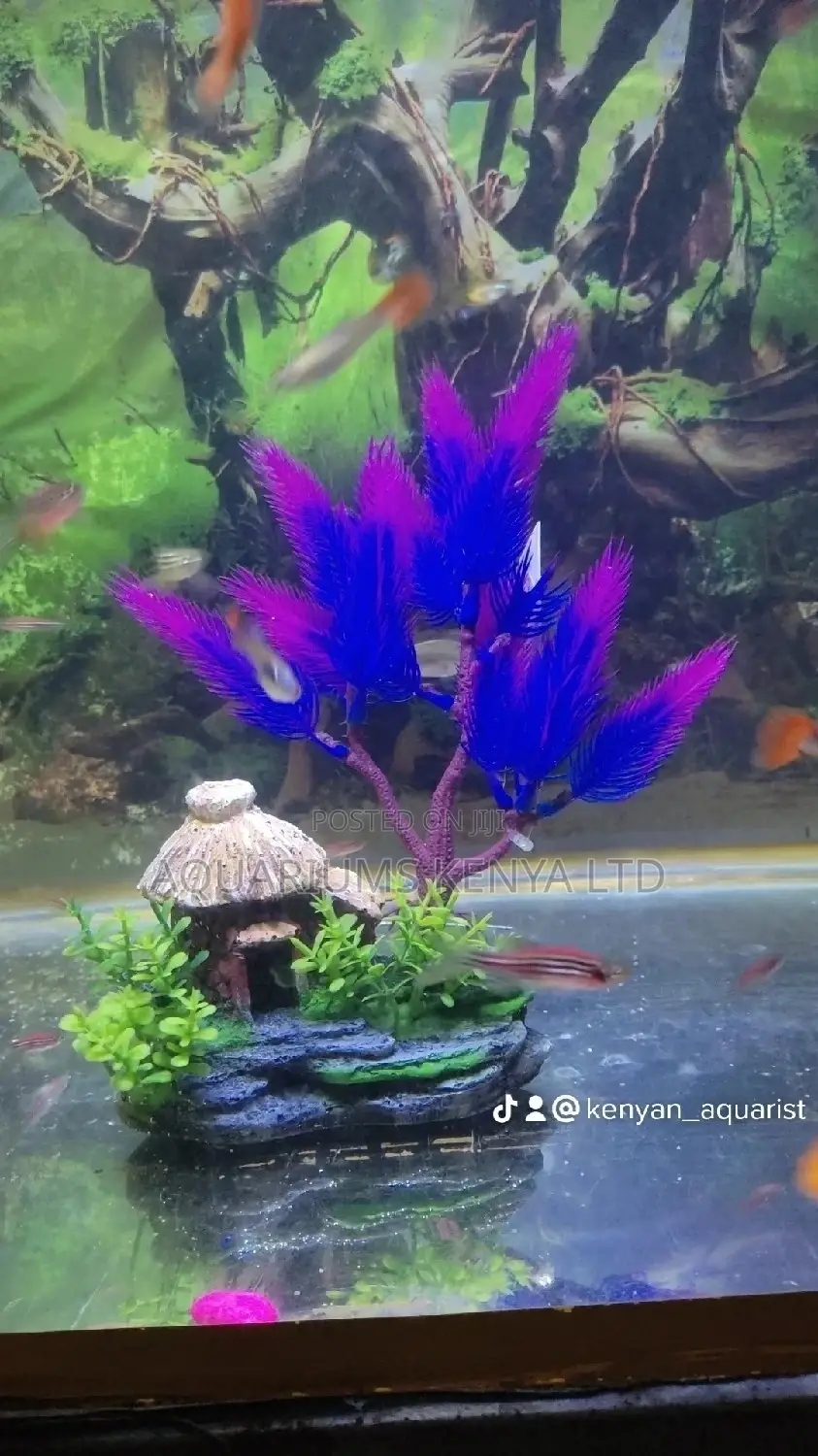 Plant House , Aquarium Accessories