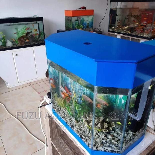 Aquarium With Goldfish - main view