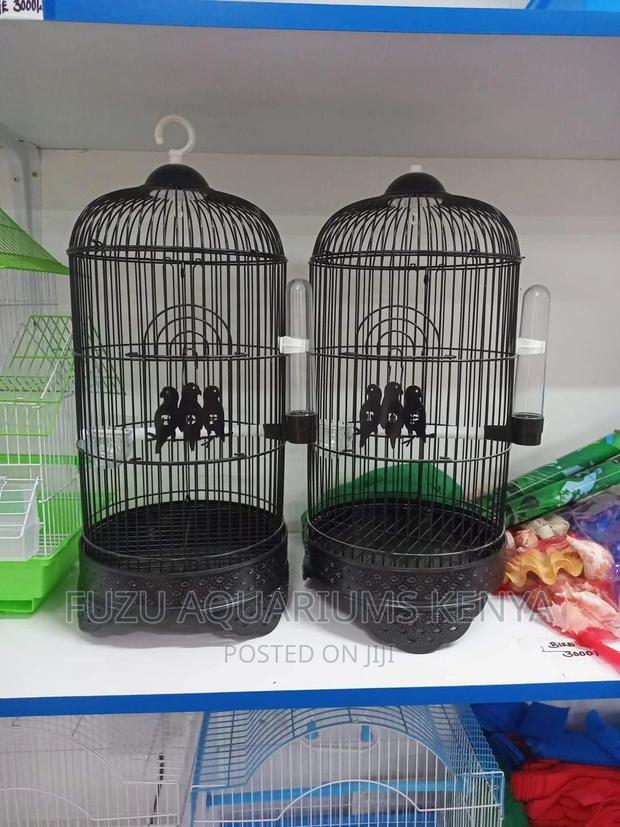 Black Bird Cage - main view