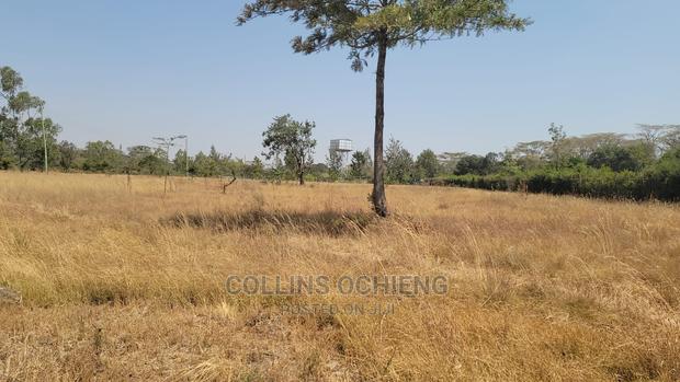 0.5 Acre Land in Karen for Sale - main view