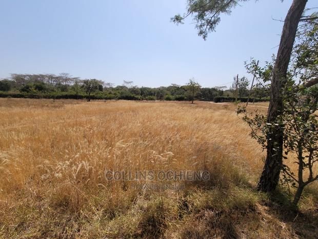 0.5 Acre Land in Karen for Sale - thumbnail 4