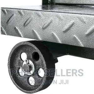 Industrial Scale With 45x60 Cm Platform 500 Kg With Wheels