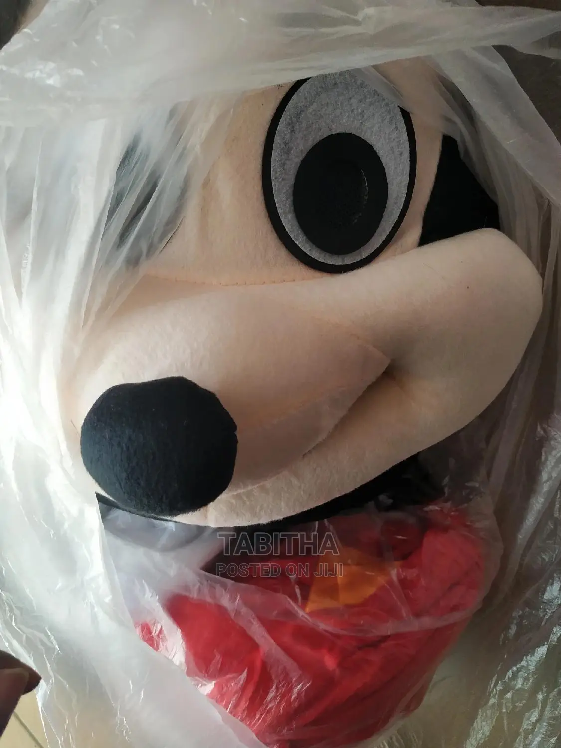 Adults Mascot Costumes Available For Sale Only
