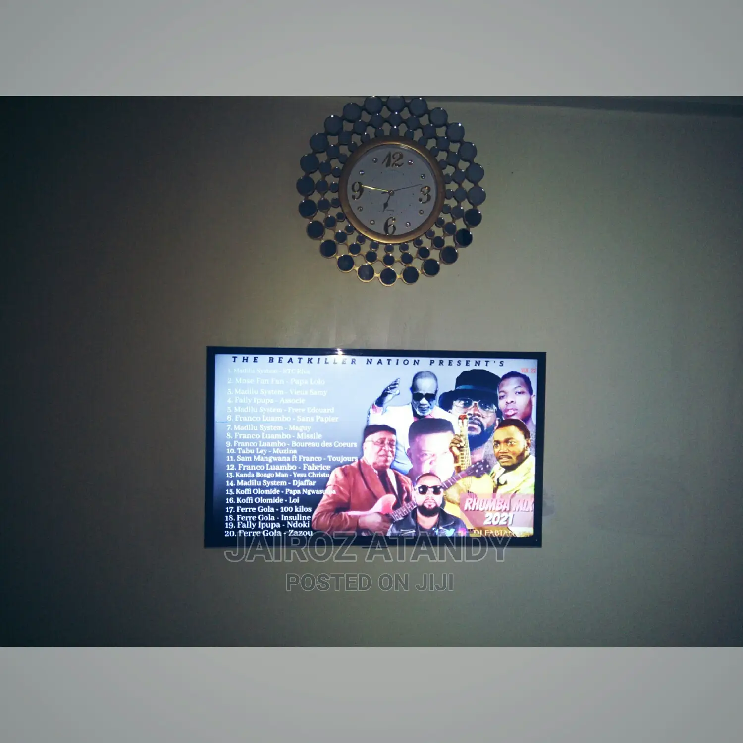 TV Mounting and Installation