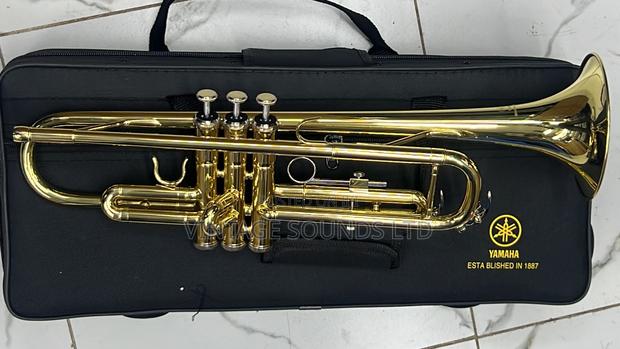New Professional Bb Trumpet