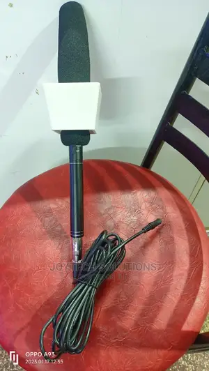 Boom Microphone With Mic Flag