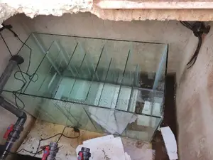 Pond Sump Filtration System , Ornamental Pond Services
