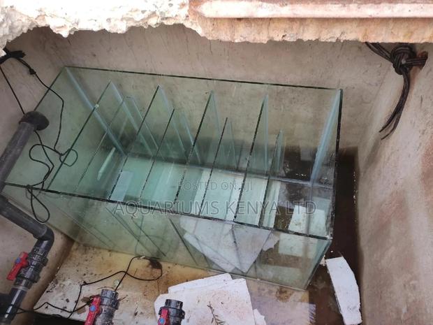 Pond Sump Filtration System , Ornamental Pond Services - main view