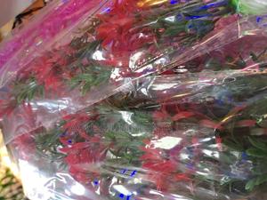 Redish And Green Polished Plant, Aquarium Plants - thumbnail 2