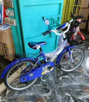 Lion King Bikes Size 16 and 20