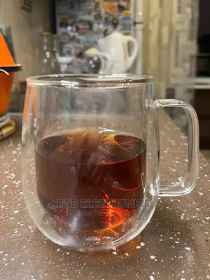 Double Walled Glass Mug