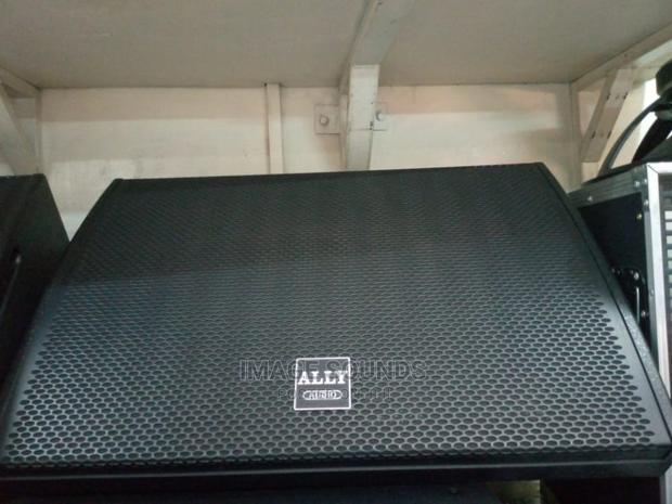 Monitor Speaker M115 Allyaudio - main view