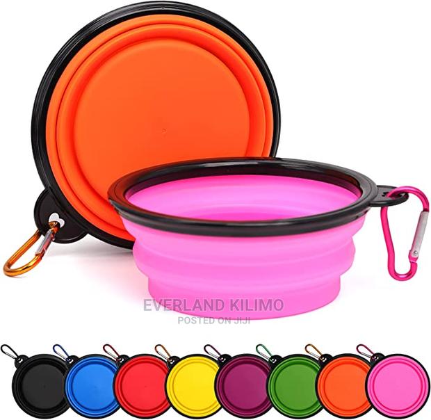 Cat/Dog Foldable Feeding Bowl - main view