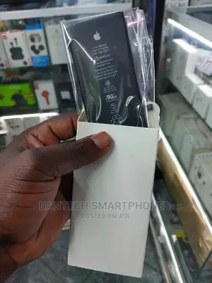 Apple Original BATTERIES Installation