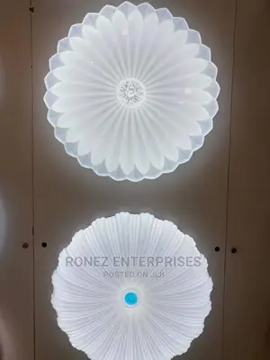 Celling Lights