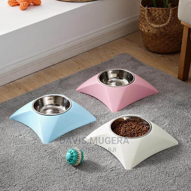 Pyramid Elevated Cat Bowl - main view