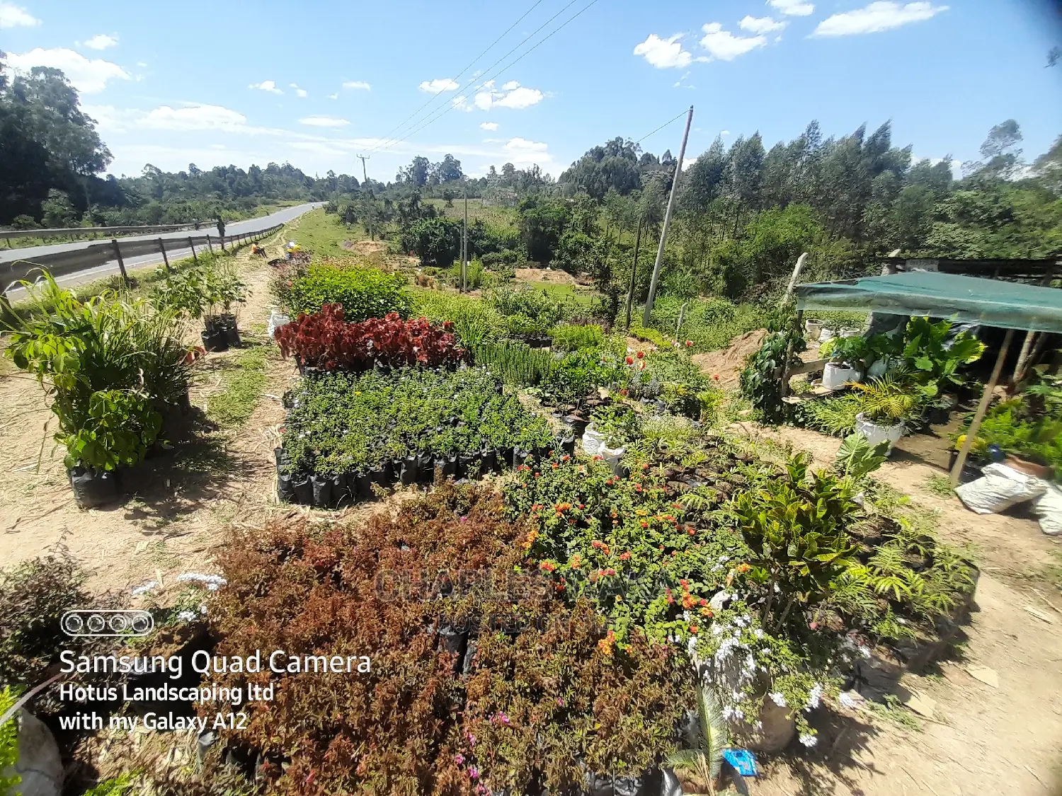 Landscape Designing and Ornamental Science