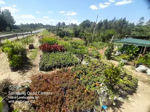 Landscape Designing and Ornamental Science