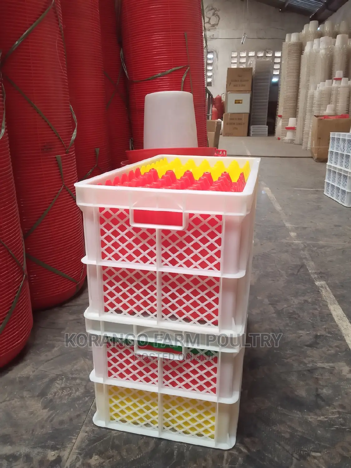 Eggs Transport Tray