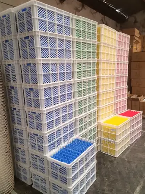 Eggs Transport Tray